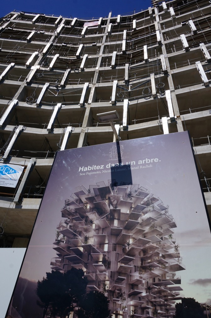 12 L'arbre Blanc de Sou Fujimoto
