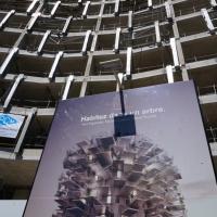 12 L'arbre Blanc  de Sou Fujimoto