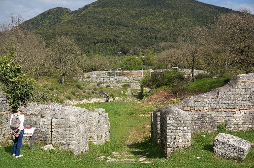 35 carsulae
