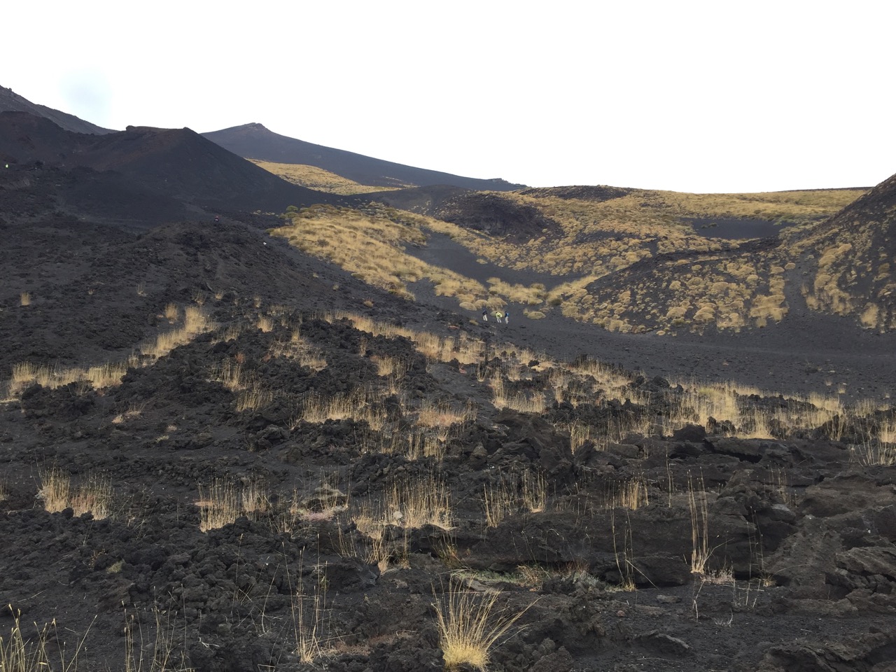 62 etna vegetation 1