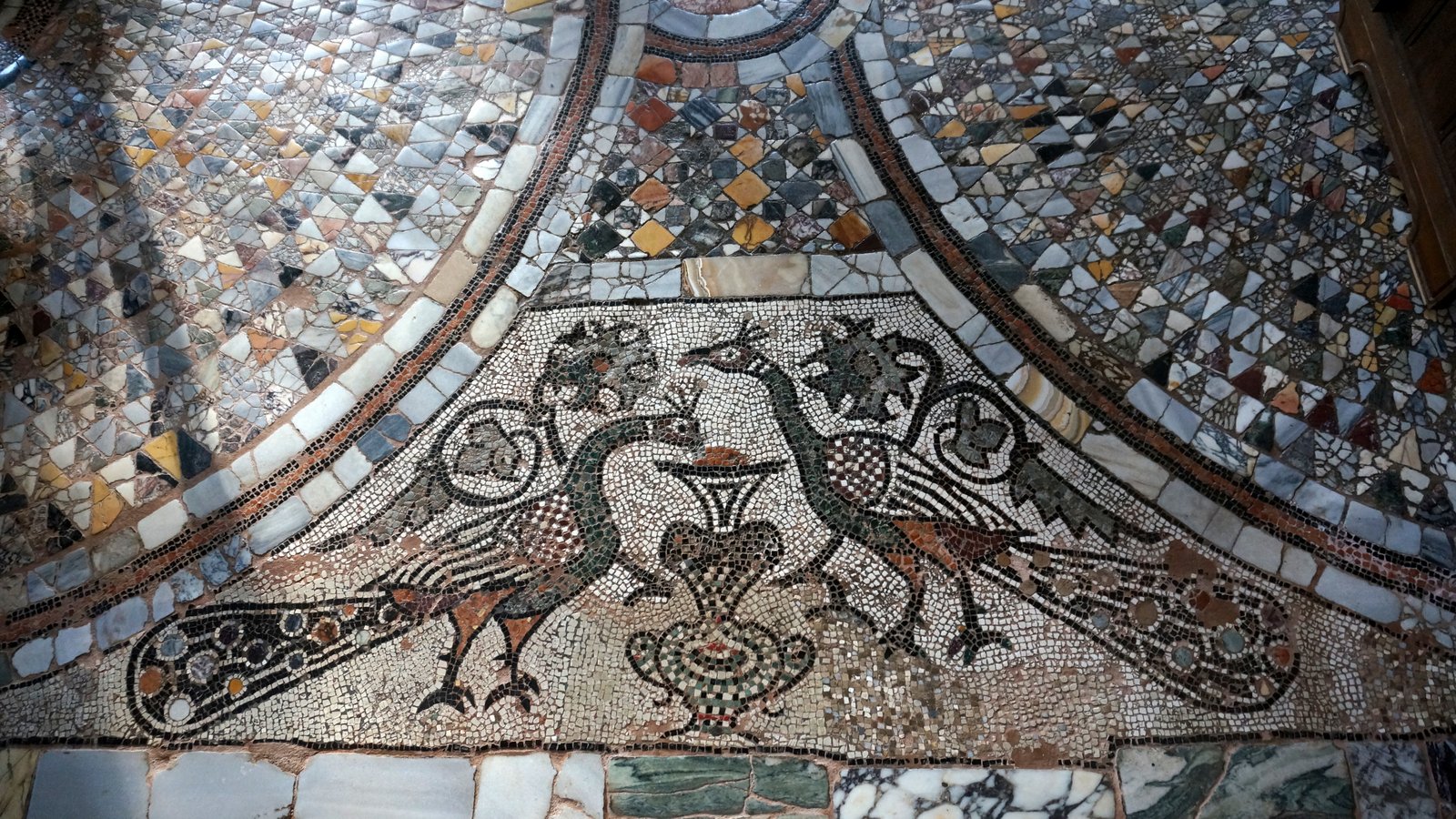 Dsc01538